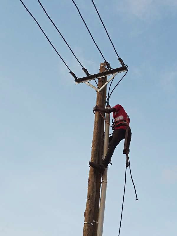 Technicien LMBECOPRO intervenant en hauteur sur un poteau de distribution